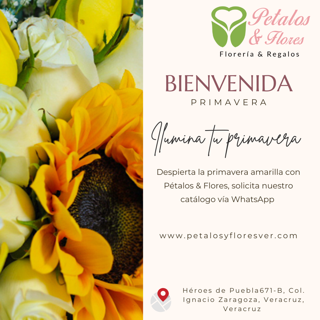 Colección Especial de Flores Amarillas - Bienvenida a la Primavera en Veracruz